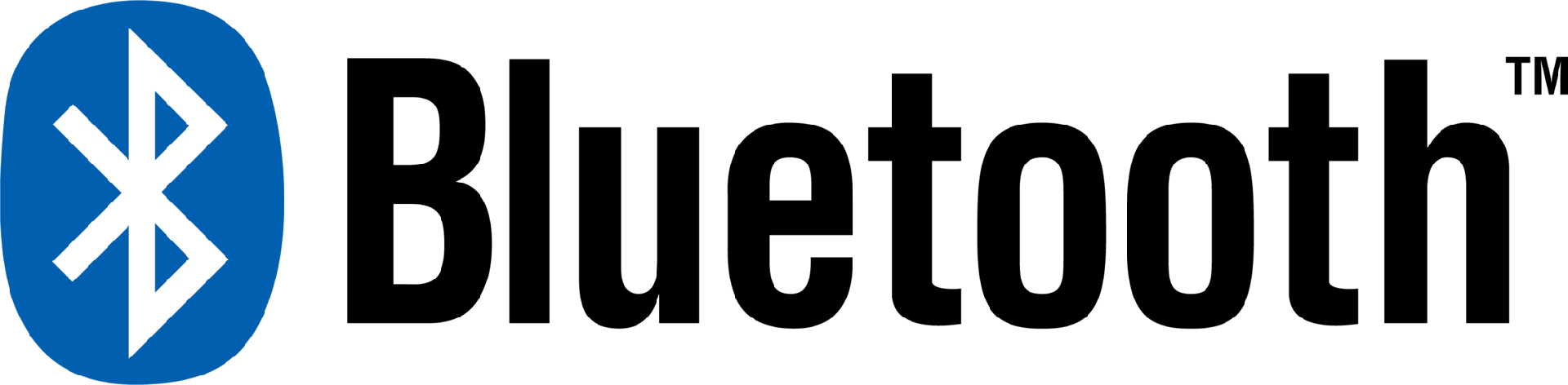 bluetooth Logo